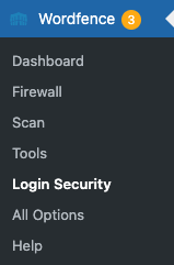 Login security